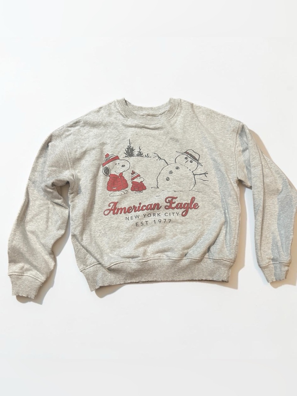 American Eagle Outfitters Light Gray Crewneck Sweatshirt with Red Graphic